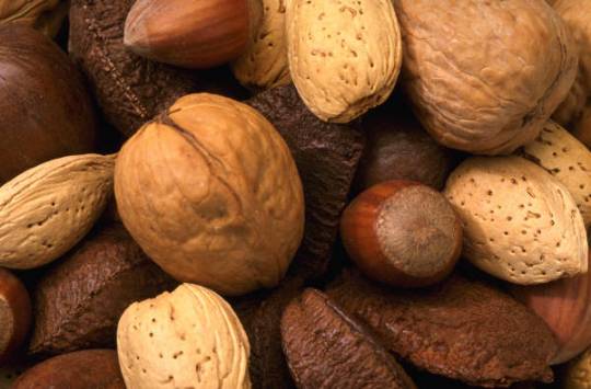 fat burning foods