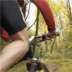 biking-exercise.jpg