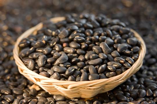 fat burning foods