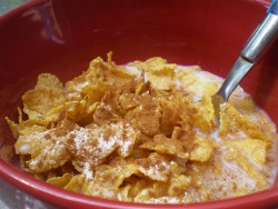 Cinnamon on cereal