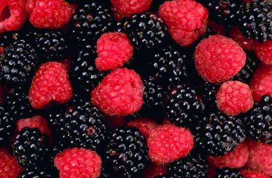 fat burning foods